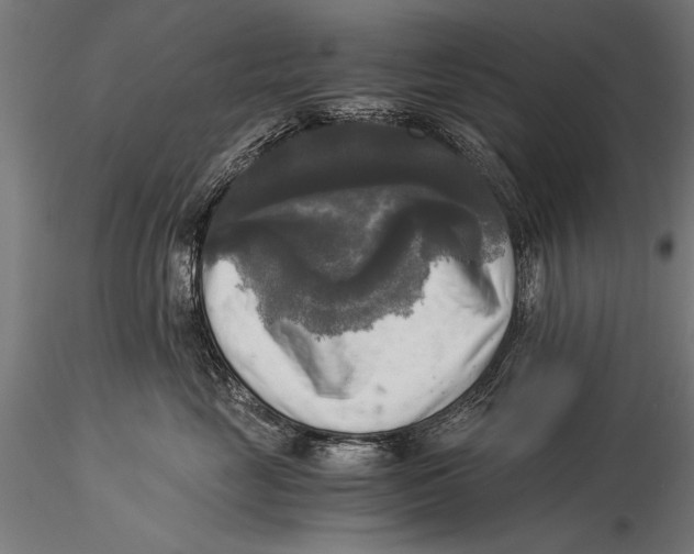 X0000116020669200912111353