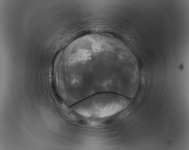 X0000116020670200912111353