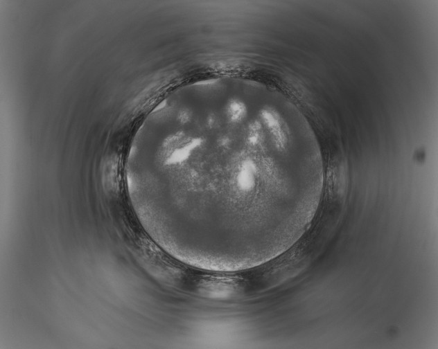 X0000116020671200912111353