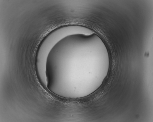 X0000116020673200912111352