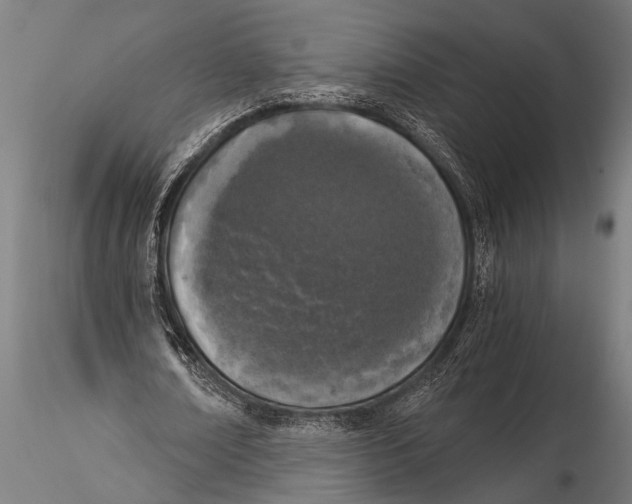 X0000116020674200912111352