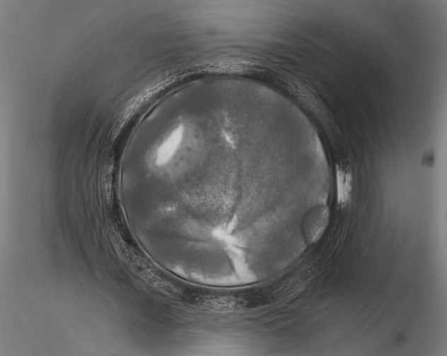 X0000116020675200912111352