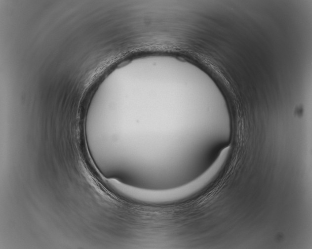 X0000116020677200912111352