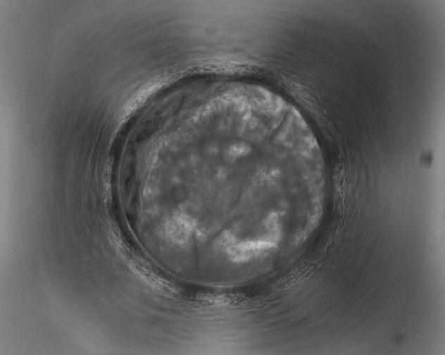 X0000116020679200912111352