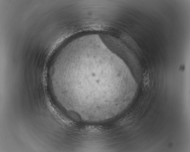 X0000116020680200912111352