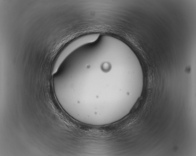 X0000116020681200912111352