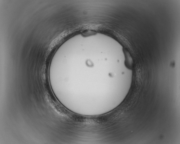 X0000116020682200912111352