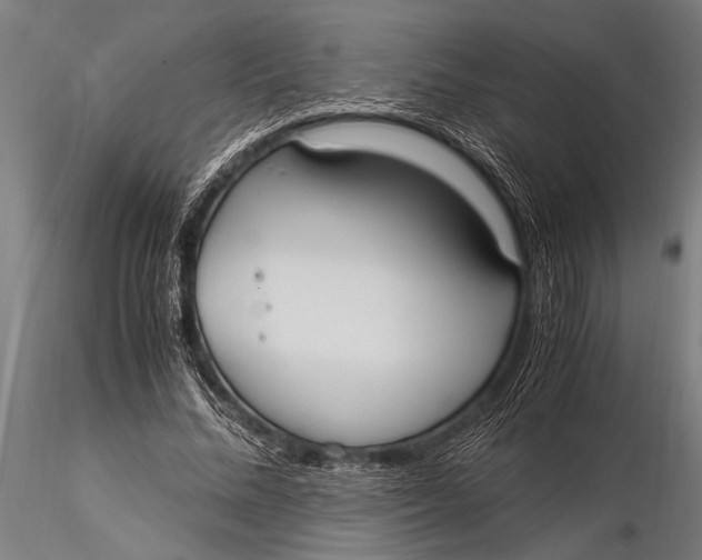 X0000116020684200912111352