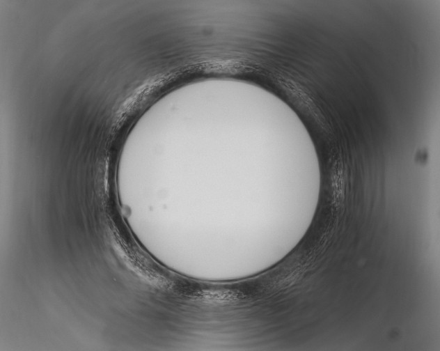 X0000116020686200912111352