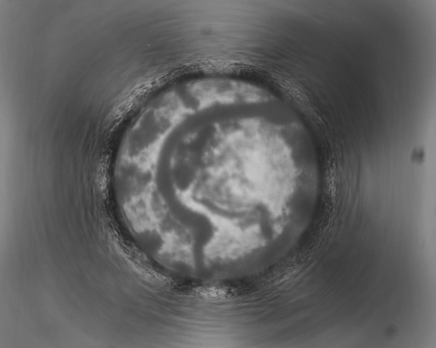 X0000116020687200912111352