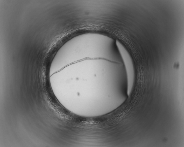 X0000116020688200912111352