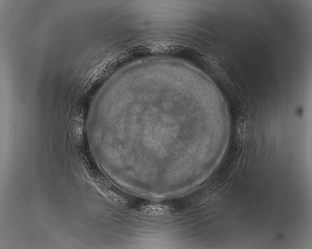 X0000116020691200912111352