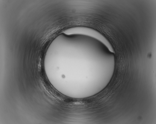 X0000116020692200912111352