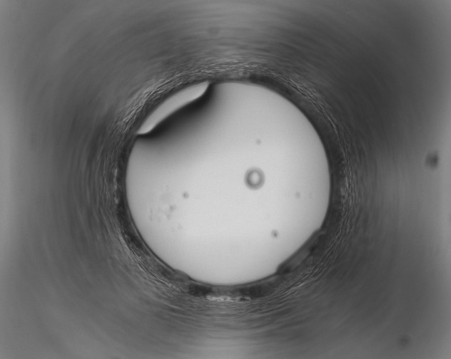 X0000116020693200912111352