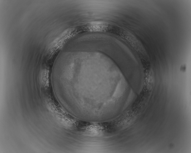 X0000116020696200912111352