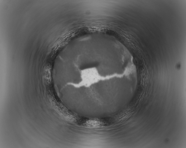 X0000116020699200912111352