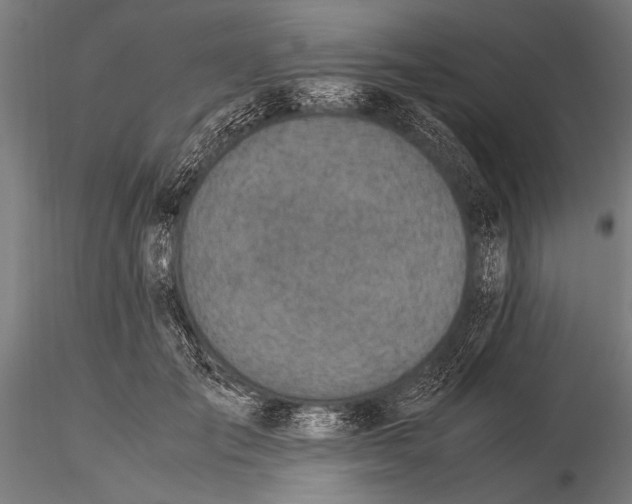 X0000116020701200912111352