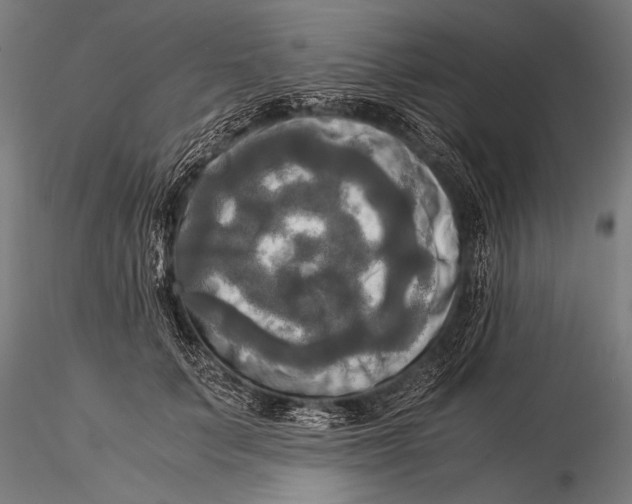 X0000116020703200912111352