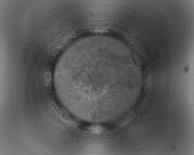 X0000116020704200912111352