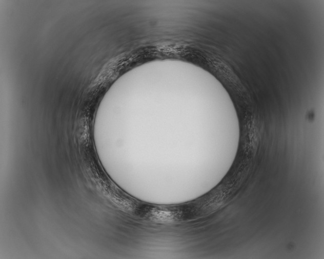 X0000116020706200912111352