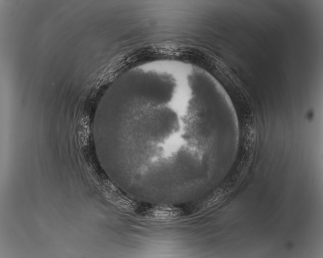 X0000116020707200912111352