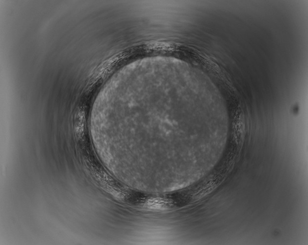 X0000116020708200912111352