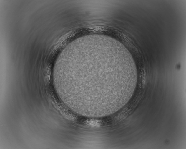 X0000116020710200912111352