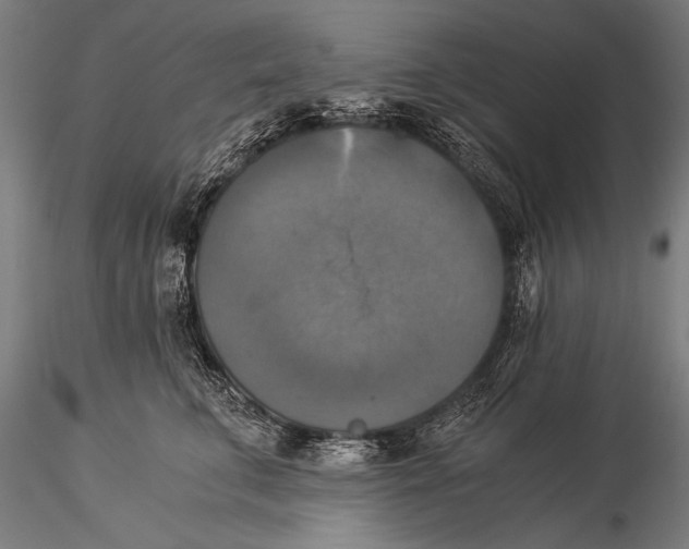 X0000116020711200912111352