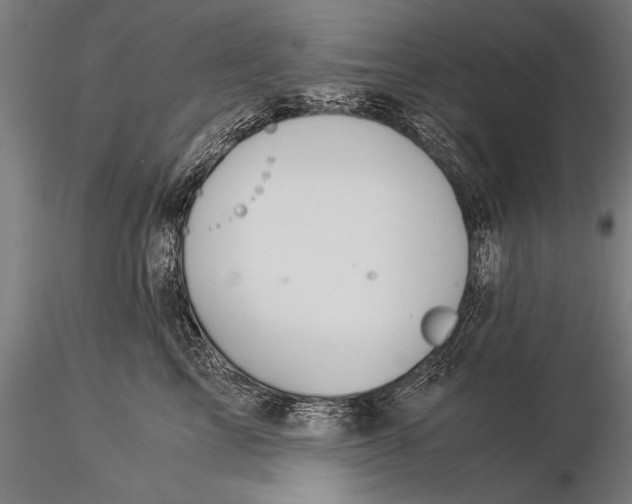 X0000116020713200912111352