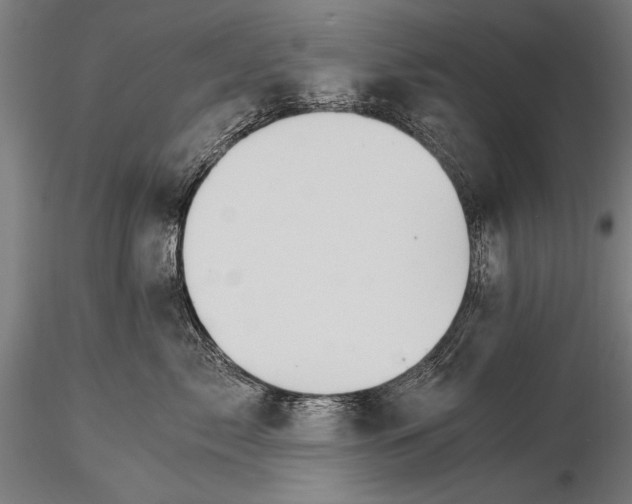 X0000116020717200912111352