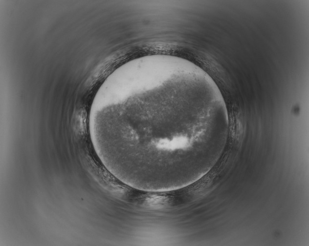 X0000116020718200912111352