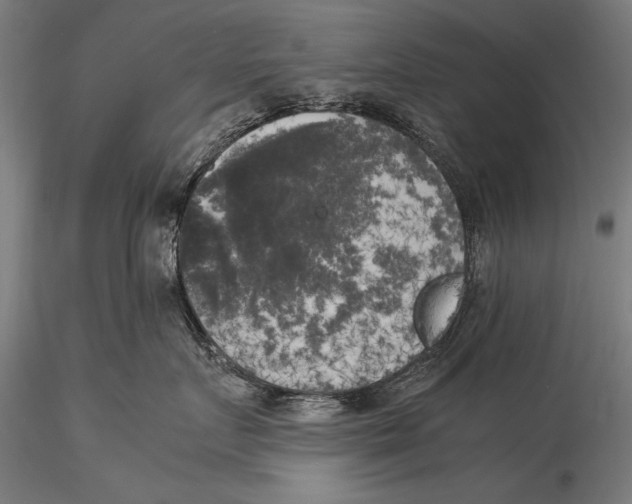 X0000116020719200912111352