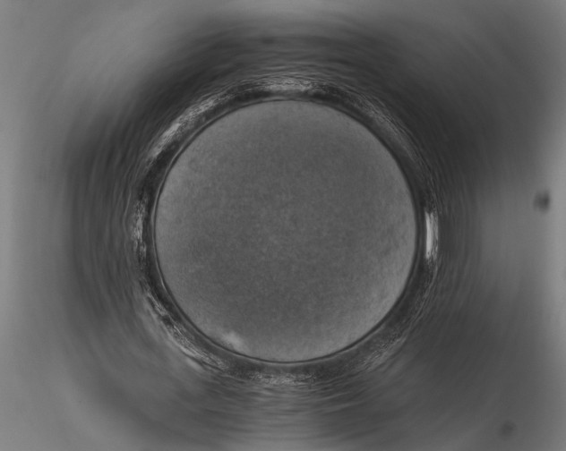 X0000116020723200912111351