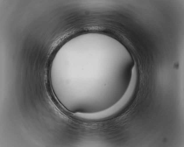 X0000116020725200912111351