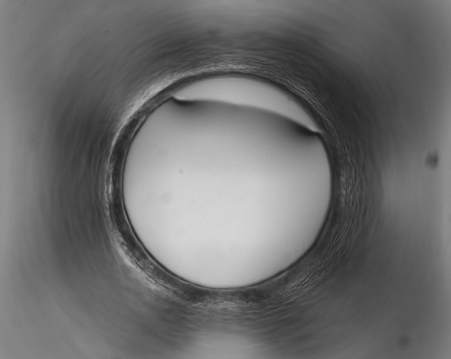 X0000116020726200912111351