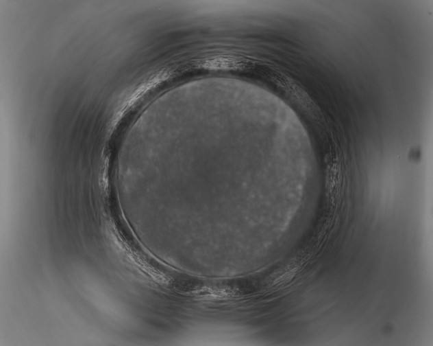 X0000116020727200912111351