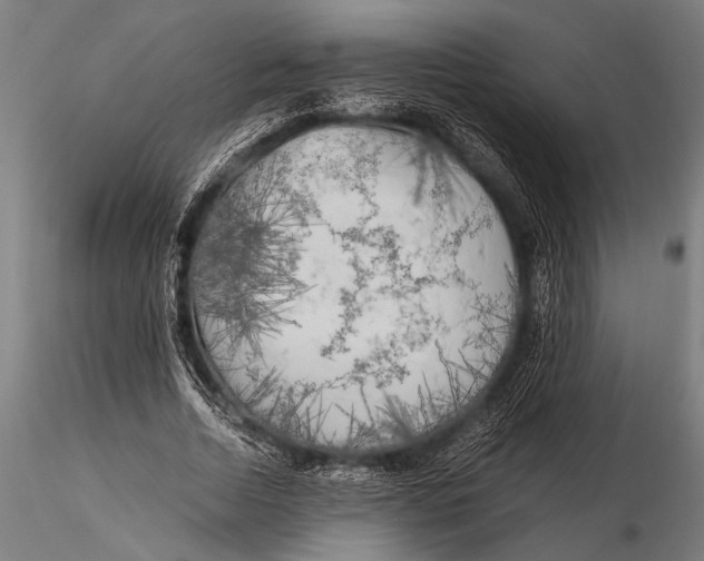 X0000116020730200912111351