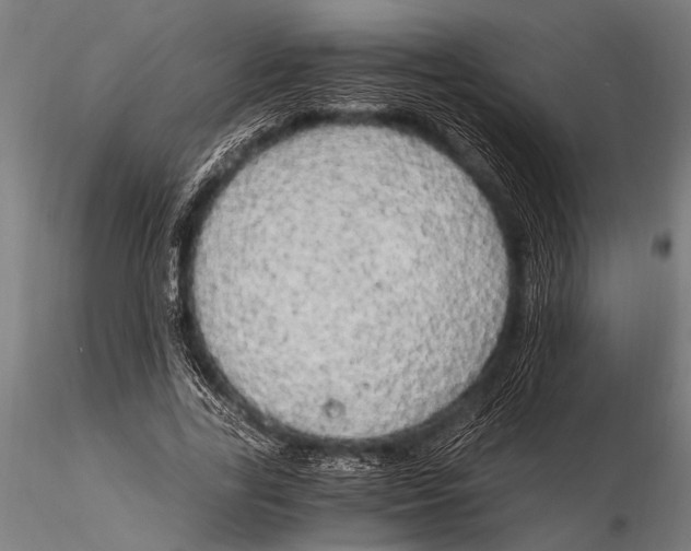 X0000116020731200912111351