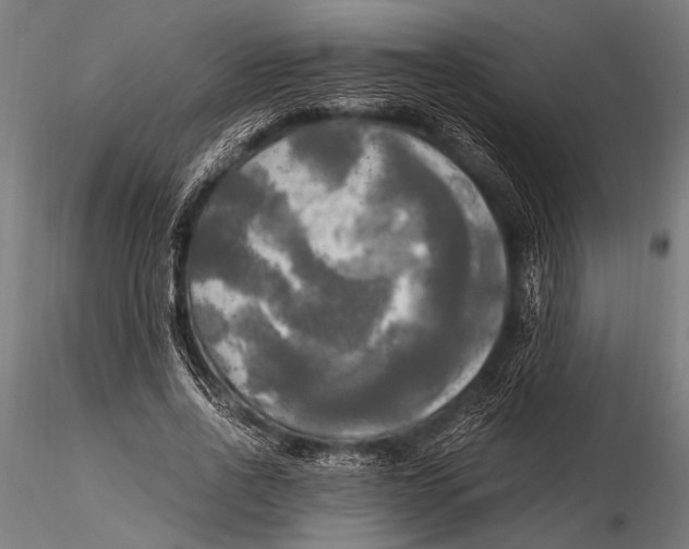 X0000116020734200912111351