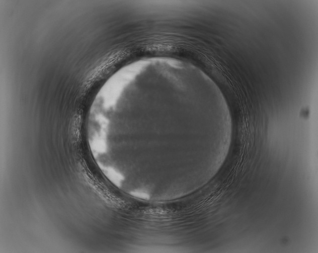 X0000116020735200912111351