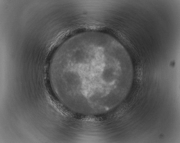 X0000116020738200912111351