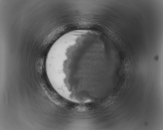 X0000116020742200912111351