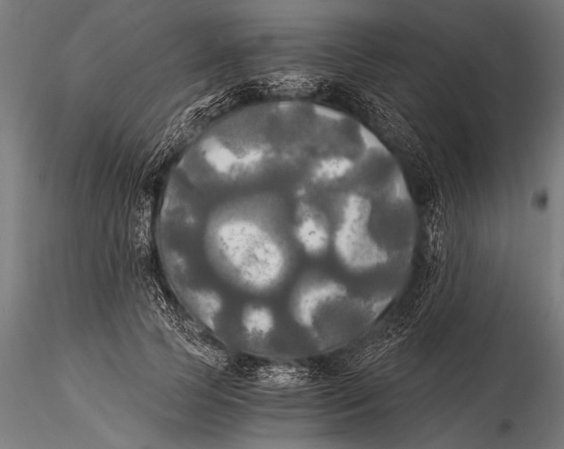 X0000116020745200912111351