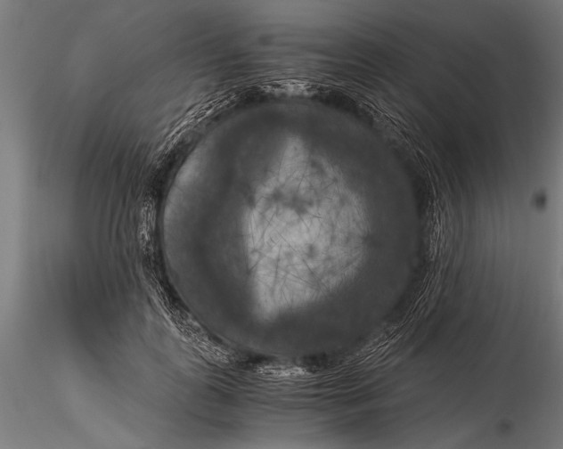 X0000116020747200912111351