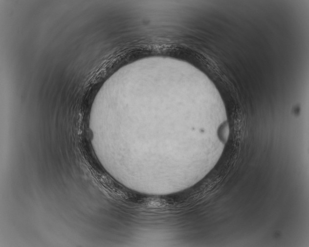 X0000116020750200912111352