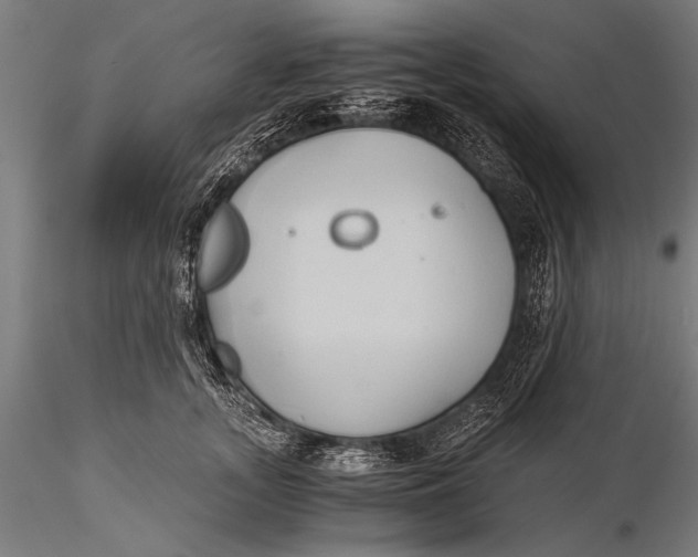 X0000116020755200912111352