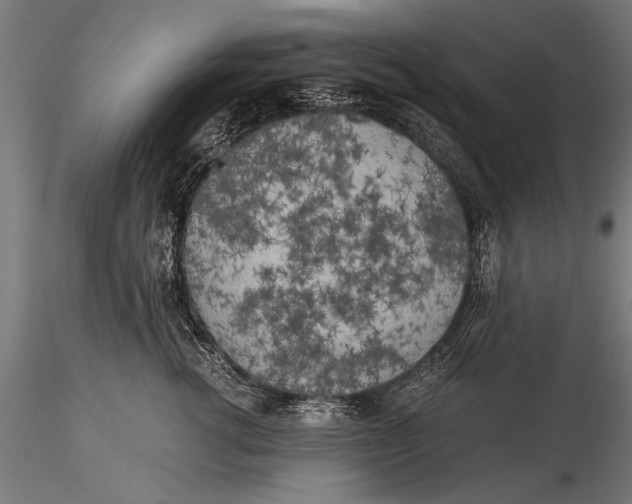 X0000116020762200912111352