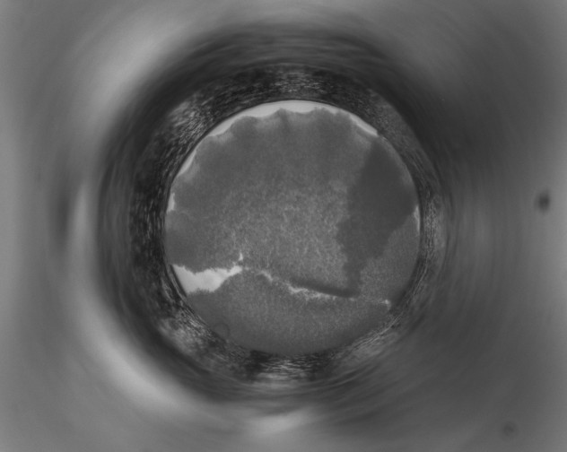 X0000116020765200912111352