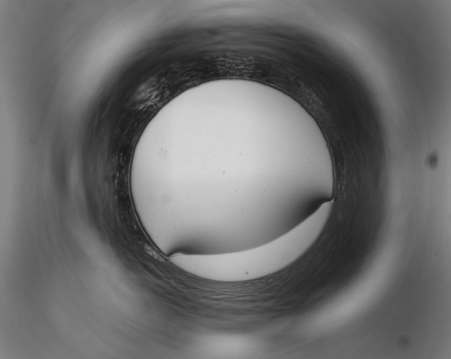 X0000116020766200912111352