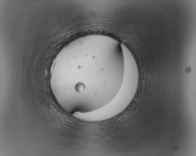 X0000116020769200912111351